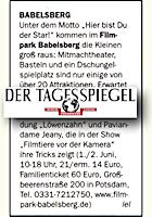 Der Tagesspiegel 31.5.2013